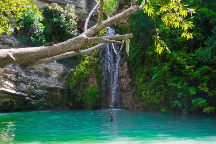 A serene waterfall cascades into a clear, turquoise pool surrounded by lush green foliage and rugged rocks, with a rope swing hanging from a branch over the water.