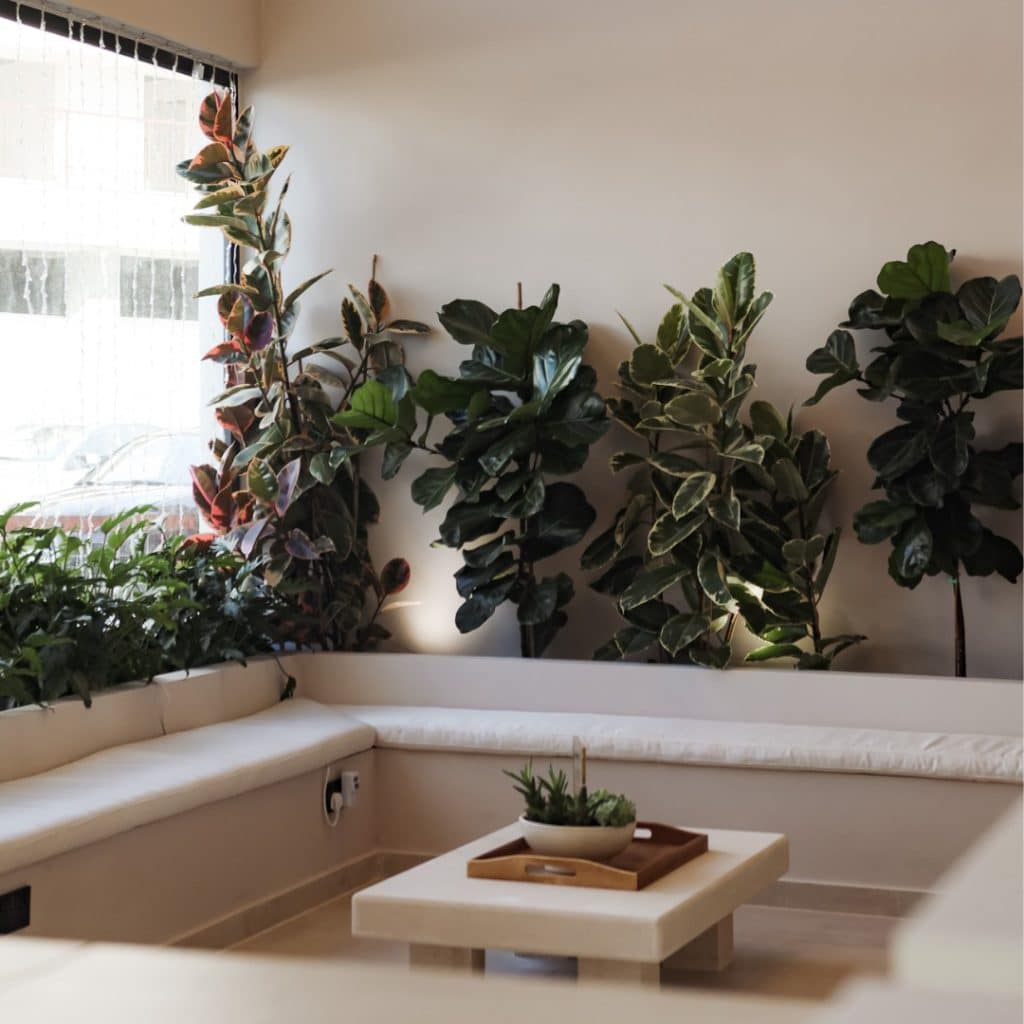 A cozy corner in a room with two large indoor plants on each side of a built-in seating area, near a window, and a small table with a plant in the center.